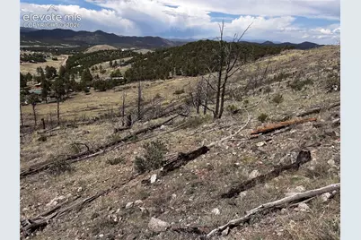 H Path Na, Cotopaxi, CO 81223 - Photo 7