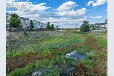 7211 Sedgerock Lane, Colorado Springs, CO 80927 - Photo 41