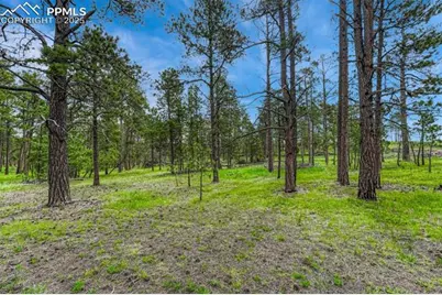 000 Wyandott Drive, Colorado Springs, CO 80908 - Photo 3