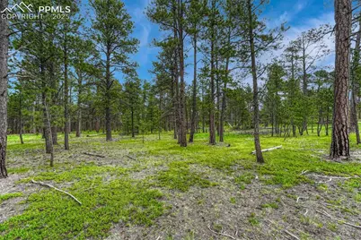 000 Wyandott Drive, Colorado Springs, CO 80908 - Photo 1