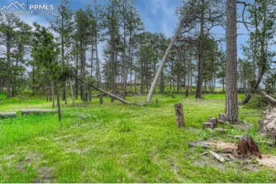 000 Wyandott Drive, Colorado Springs, CO 80908 - Photo 7