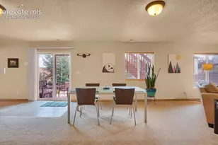 335 Pyrite Terrace, Colorado Springs, CO 80905 - Photo 17