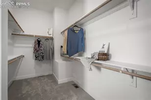 17234 Alsike Clover Ct, Monument, CO 80132 - Photo 29