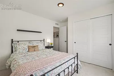 10528 Grand Lawn Circle, Colorado Springs, CO 80924 - Photo 19