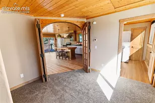 3303 Trail Creek Rd, Florissant, CO 80816 - Photo 49