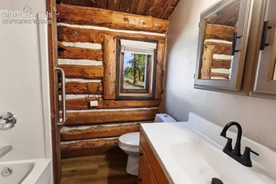 3303 Trail Creek Road, Florissant, CO 80816 - Photo 15