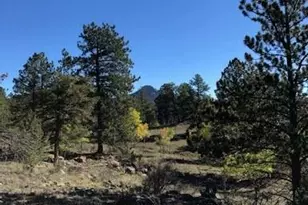 3303 Trail Creek Rd, Florissant, CO 80816 - Photo 39