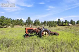 3303 Trail Creek Rd, Florissant, CO 80816 - Photo 37