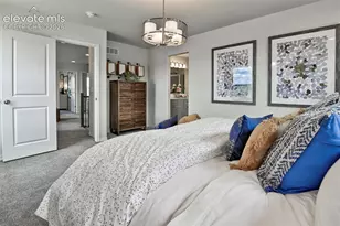 8522 Blue Feather Loop, Colorado Springs, CO 80908 - Photo 23