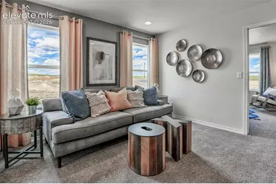 8522 Blue Feather Loop, Colorado Springs, CO 80908 - Photo 13