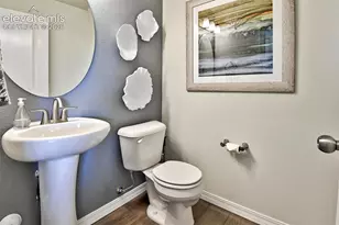 8522 Blue Feather Loop, Colorado Springs, CO 80908 - Photo 29