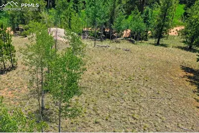 549 Spring Valley Lane, Florissant, CO 80816 - Photo 7