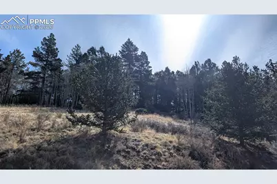 136 Valley Road, Divide, CO 80814 - Photo 1