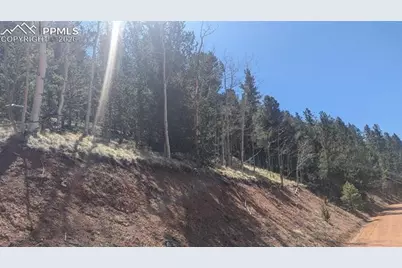 136 Valley Road, Divide, CO 80814 - Photo 5