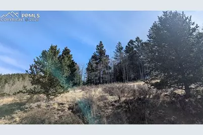 136 Valley Road, Divide, CO 80814 - Photo 7