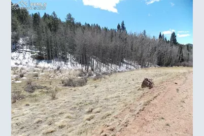 388 Grey Eagle Drive, Cripple Creek, CO 80813 - Photo 3