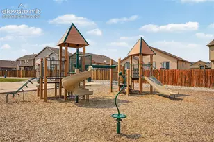 10349 Desert Bloom Way, Colorado Springs, CO 80925 - Photo 43