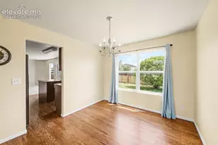 10349 Desert Bloom Way, Colorado Springs, CO 80925 - Photo 9