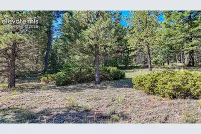 1232 Monarch Drive, Cripple Creek, CO 80813 - Photo 25