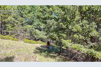 1232 Monarch Drive, Cripple Creek, CO 80813 - Photo 21