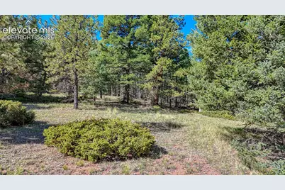 1232 Monarch Drive, Cripple Creek, CO 80813 - Photo 13