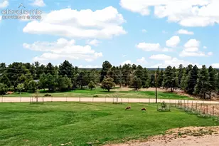 22991 Deer Trail, Elbert, CO 80106 - Photo 43