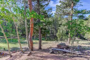 4 Honeysuckle Rd, Woodland Park, CO 80863 - Photo 23