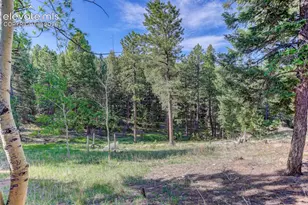 4 Honeysuckle Rd, Woodland Park, CO 80863 - Photo 39