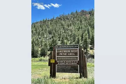 2401 Lakemoor Drive, Florissant, CO 80816 - Photo 49