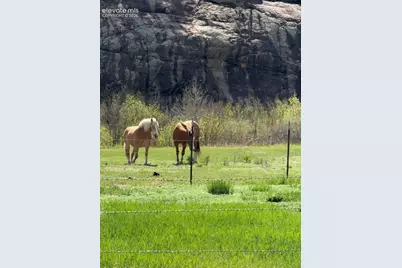 2401 Lakemoor Drive, Florissant, CO 80816 - Photo 45