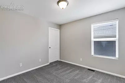 7585 Alpine Daisy Drive, Colorado Springs, CO 80925 - Photo 19
