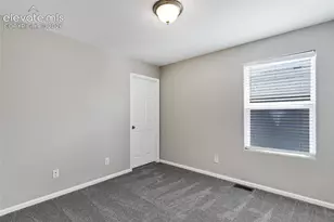 7585 Alpine Daisy Dr, Colorado Springs, CO 80925 - Photo 19