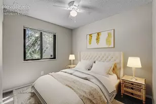 1675 Mineola St, Colorado Springs, CO 80915 - Photo 19