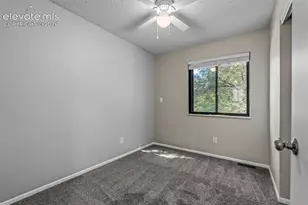 1675 Mineola St, Colorado Springs, CO 80915 - Photo 23