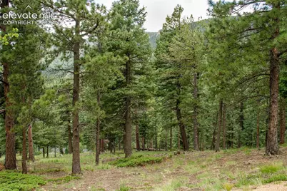 266 Aspen Ridge Road, Manitou Springs, CO 80829 - Photo 3