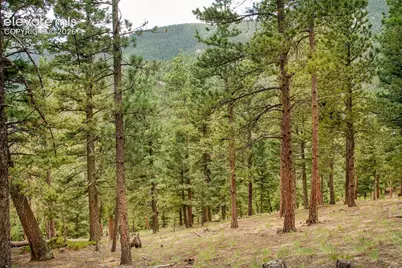 266 Aspen Ridge Road, Manitou Springs, CO 80829 - Photo 15