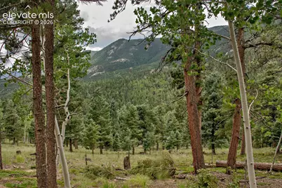 266 Aspen Ridge Road, Manitou Springs, CO 80829 - Photo 21
