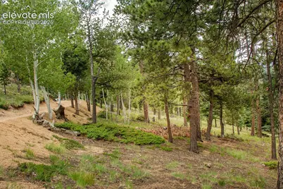 266 Aspen Ridge Road, Manitou Springs, CO 80829 - Photo 19