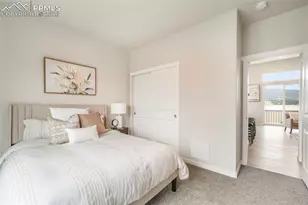 241 Front St, Monument, CO 80132 - Photo 19