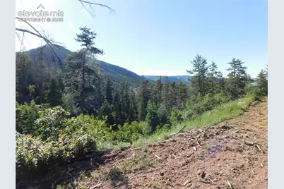Lot 11 Cheyenne Drive, Larkspur, CO 80118 - Photo 21