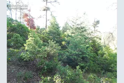 Lot 11 Cheyenne Drive, Larkspur, CO 80118 - Photo 11