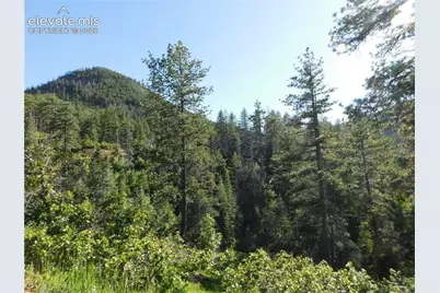 Lot 11 Cheyenne Drive, Larkspur, CO 80118 - Photo 27