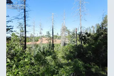 Lot 11 Cheyenne Drive, Larkspur, CO 80118 - Photo 7