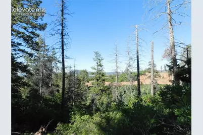 Lot 11 Cheyenne Drive, Larkspur, CO 80118 - Photo 5