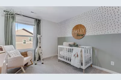 6708 Dragontail Terrace, Colorado Springs, CO 80925 - Photo 17