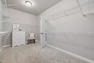 10398 Sharon Springs Drive, Colorado Springs, CO 80924 - Photo 25