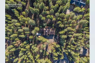 1170 Pine Ridge Road, Woodland Park, CO 80863 - Photo 45