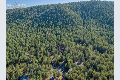 1170 Pine Ridge Road, Woodland Park, CO 80863 - Photo 47