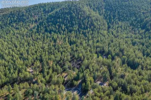 1170 Pine Ridge Rd, Woodland Park, CO 80863 - Photo 47