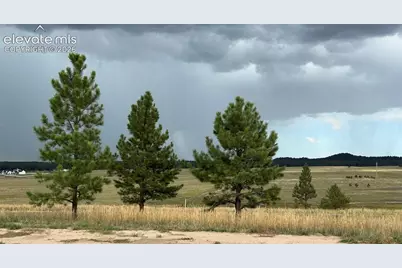 18899 Cherry Springs Ranch Drive, Monument, CO 80132 - Photo 5